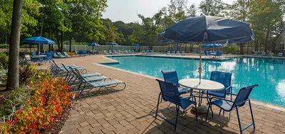 Inviting outdoor pool area with lush greenery, elegant loungers, and stylish blue umbrellas, perfect for relaxation and enjoyment.