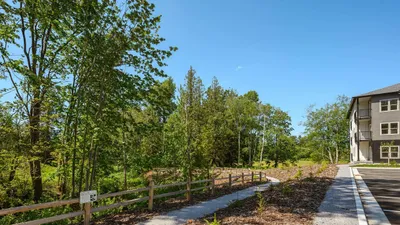 alder creek is a natural greenspace protected for native salmon