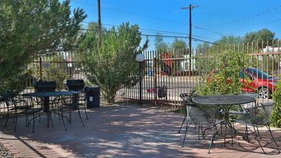 Charming outdoor patio with stylish black metal tables and chairs, surrounded by lush greenery and bathed in sunlight.