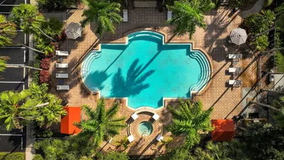 Inviting aerial view of a luxurious swimming pool surrounded by lush palm trees and comfortable lounge chairs, perfect for relaxation.