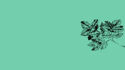 Elegant green background with an intricate parsley leaf design on the right, offering a touch of nature-inspired sophistication.