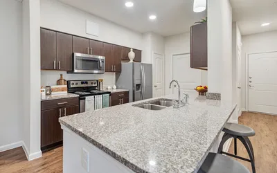 Modern kitchen with sleek granite countertops, stainless steel appliances, and elegant dark wood cabinetry, perfect for culinary enthusiasts.