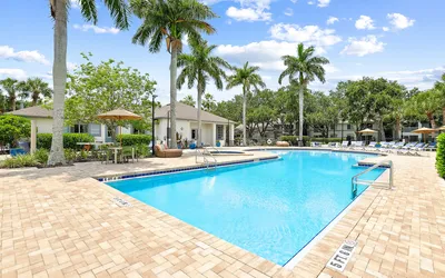 Pool and palm trees