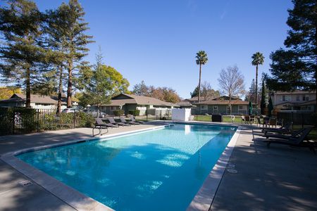 Sparkling Pool | Apartments for rent in Davis, CA | Cottages on 5th