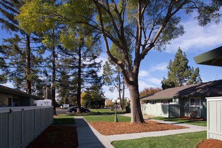 Davis CA Apartments | Cottages on 5th