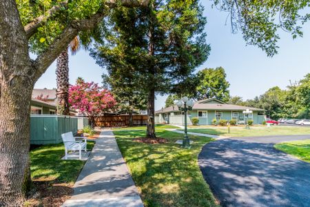 Apartment in Davis, CA | Cottages on 5th