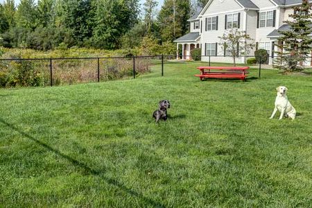 Residents and their Pets at the Bark Park | East Amherst NY Apartments | Autumn Creek Apartments