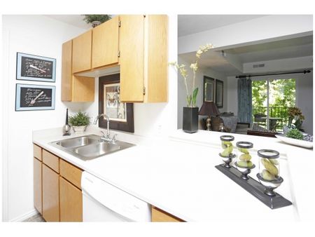 Kitchen double sink and dishwasher overlooking living room