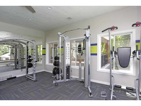 Smith machines, vertical abdominal machine, and squat machine
