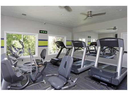 Three treadmills and three stationary bikes, and full wall mirror