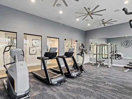 Fitness center with 2 treadmills, bicycle, elliptical, Smith machine