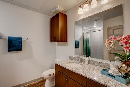 Luxurious Bathroom | Richardson Apartments | Northside