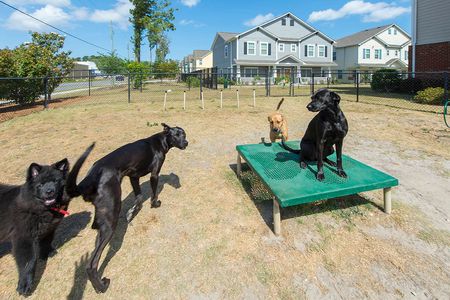 dog park aspire 349 apartments at UNCW