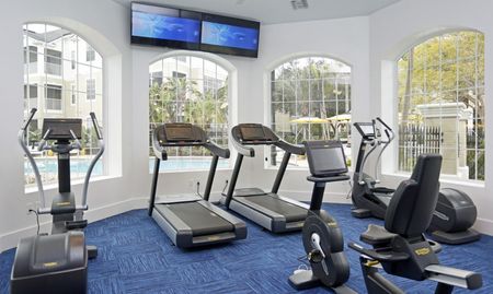 Grandeville at River Place Interior | Fitness Center | Workout Equipment | Carpet | TV | Windows