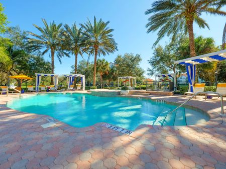 Sarasota Apartments Swimming Pool - Saratoga Place