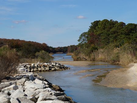 Spyglass at Cedar Cove | Chesapeake Bay | Apartments in Lexington
