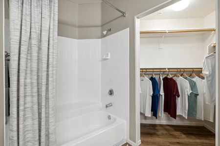 shower and closet