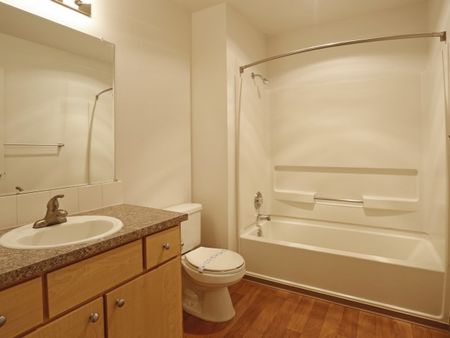 Bath Tub and shower combo