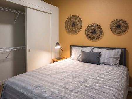 one bedroom apartment rentals