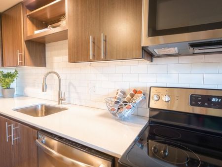 one bedroom apartments for rent