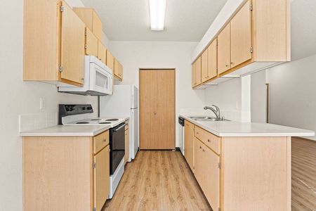 one bedroom apartments for rent