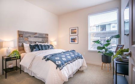one bedroom apartment for rent