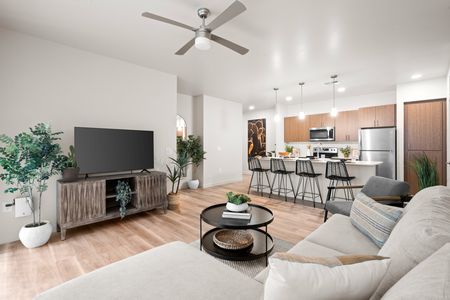 Apartments for Rent in Queen Creek, AZ - Acero Harvest Station - Living Room with Ceiling Fan, Circle Coffee Table, Wooden Media Console, and Potted Plants