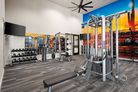 Queen Creek Apartments - Acero Harvest Station - Fitness Center with Weight Lifting Equipment, Free Weights, and Bench Press