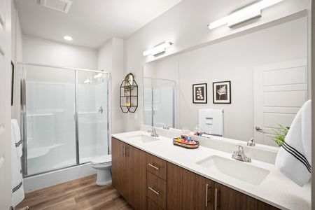 Mesa Arizona Apartments for Rent - Brand New Apartment Homes - Modern Bathroom with Walk-In Shower - Storage