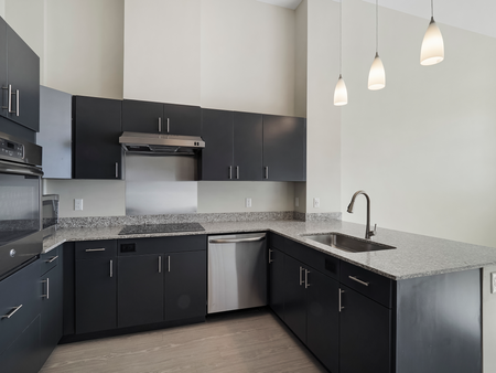 Dark, contemporary cabinetry in modern kitchen | Washington Mill 240 | Lawrence Apartments