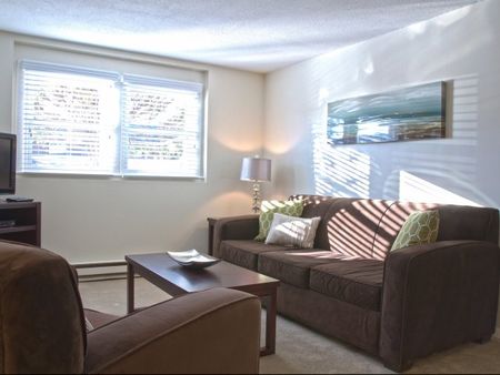 Warm Living Area with natural light | Princeton Dover | Dover NH Apartment Buildings