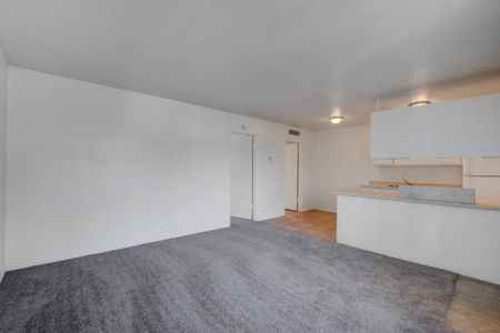 Spacious Living Area