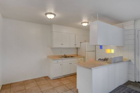Elegant Kitchen