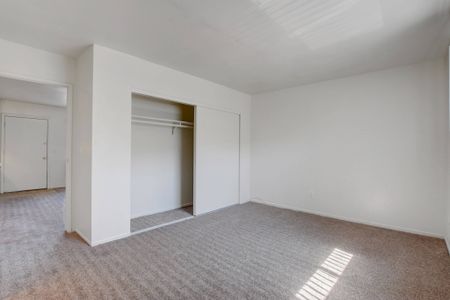 Spacious Closet