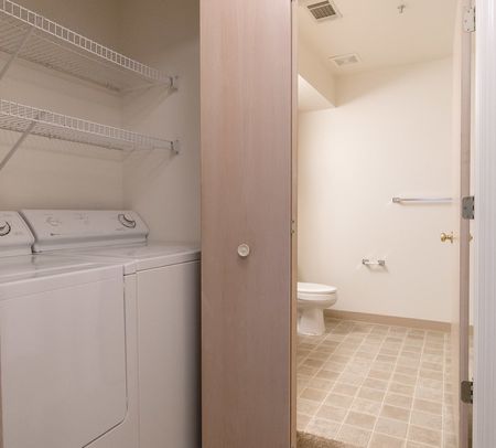 View of Attached Laundry Room, Showing Full Size Washer and Dryer, and Shelving at Clearview Apartments