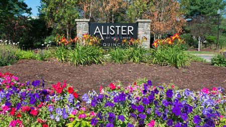 Welcome to Alister Quincy | Alister Quincy Monument Sign surrounded by beautiful landscaping