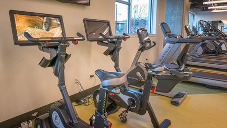 Spin Bikes and Treadmills