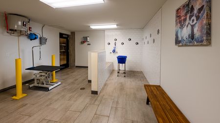 Pet friendly room with ceramic wood look tile flooring