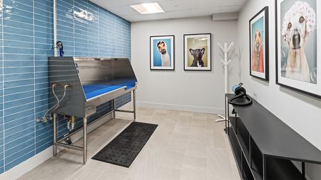 Luxe pet spa at Modera Framingham featuring fun pet photos and wash station