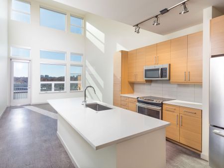 kitchen and living area with high ceilings and oversized windows at modera river north apartment homes for rent in denver colorado