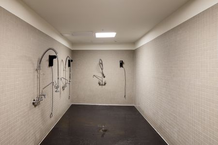 pet wash room with faucets at modera art park apartment homes for rent in denver colorado