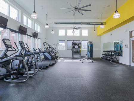 The Gym