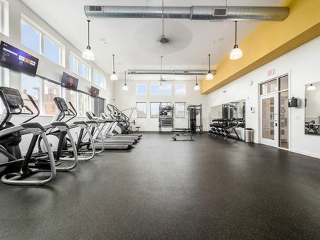 The Gym