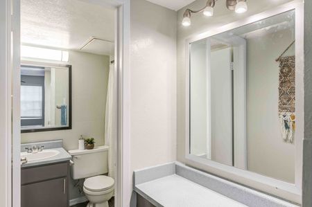 Vanity Area and Bathroom