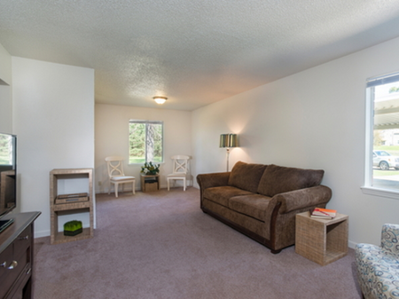 Living Room Interior