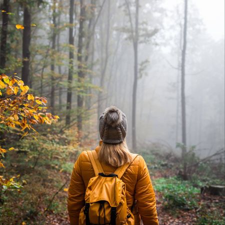 Photograph of a person in misty woods, wearing an orange backpack and jacket, looking forward into the mist.