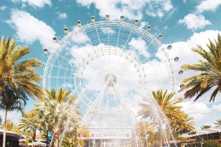 Ferris wheel at an amusement park near our student living apartments in Orlando, FL, featuring palm trees and blue sky.