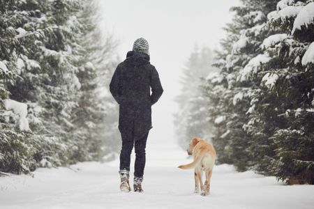 Walking Dog in Snow