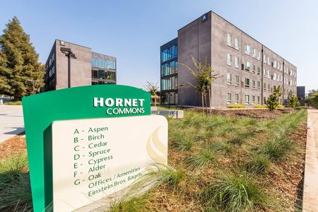 Hornet Commons Buildings