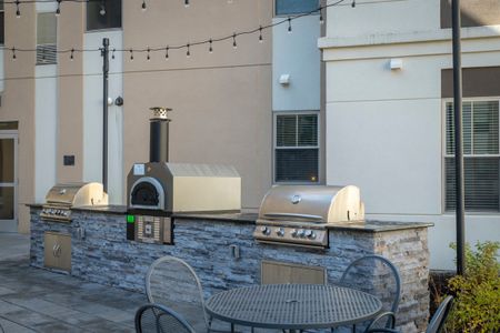 Side view of grill and pizza oven